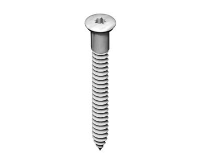 Nurgakruvi 5,0x60 ruspert TX 20 250tk/pakk